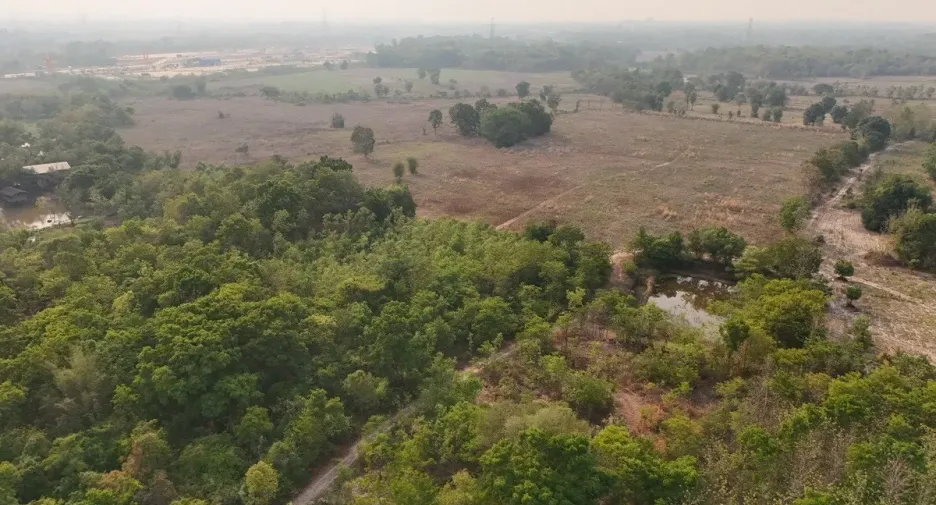 Продажа Участок в Mueang Udon Thani, Удонтани