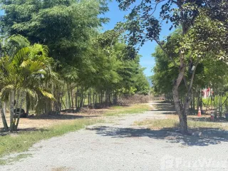 For sale land in Ban Bueng, Chonburi