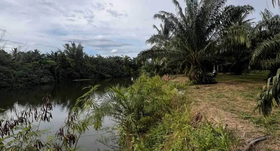 For sale land in Sichon, Nakhon Si Thammarat