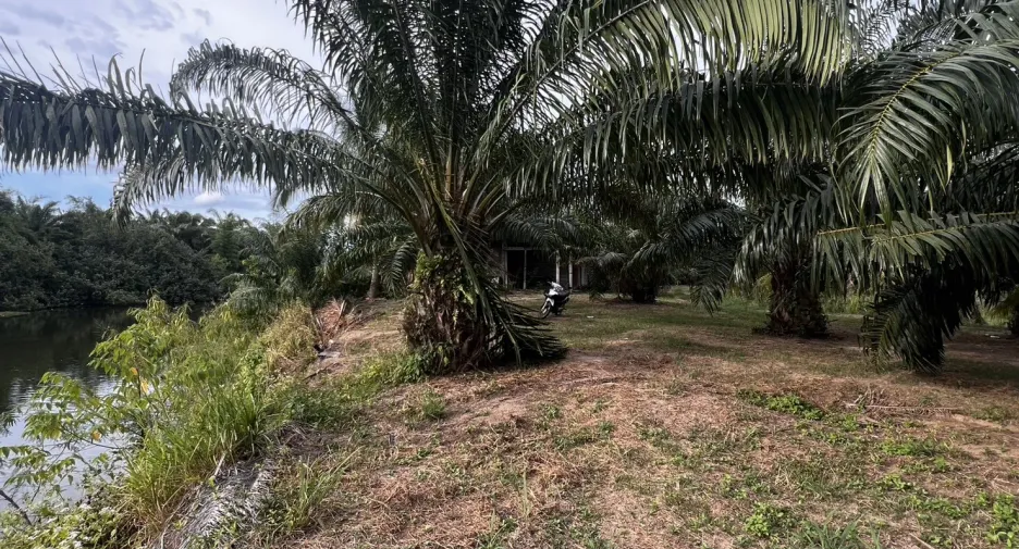 For sale land in Sichon, Nakhon Si Thammarat