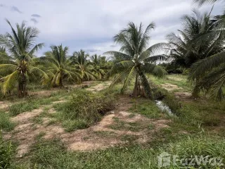 For sale land in Sichon, Nakhon Si Thammarat
