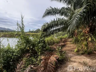 For sale land in Sichon, Nakhon Si Thammarat