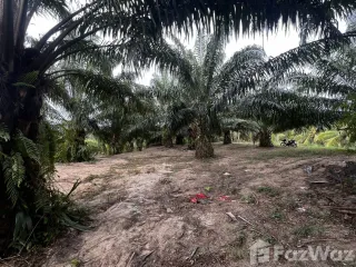 For sale land in Sichon, Nakhon Si Thammarat
