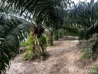For sale land in Sichon, Nakhon Si Thammarat