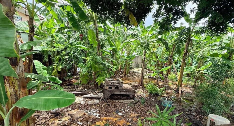 For sale land in Mueang Samut Prakan, Samut Prakan