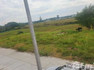 For sale land in Mueang Chiang Mai, Chiang Mai