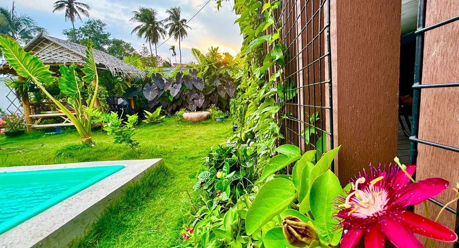 For sale and for rent 1 bed house in Takua Thung, Phang Nga