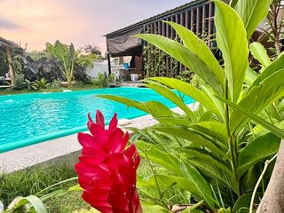 For rent and for sale 1 bed house in Takua Thung, Phang Nga