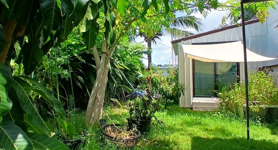 For sale and for rent 1 bed house in Takua Thung, Phang Nga