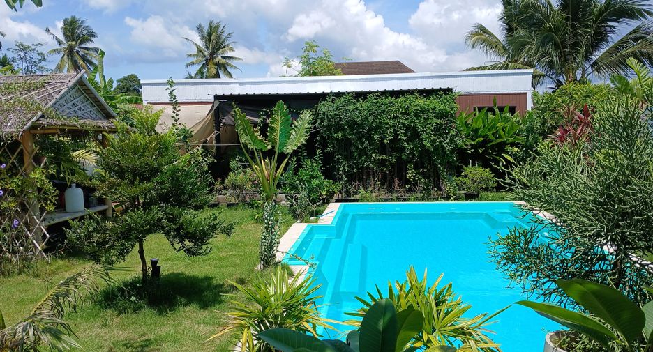 For sale and for rent 1 bed house in Takua Thung, Phang Nga