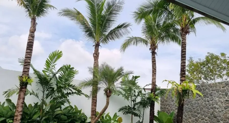 For sale and for rent 4 bedrooms villa in Thalang, Phuket