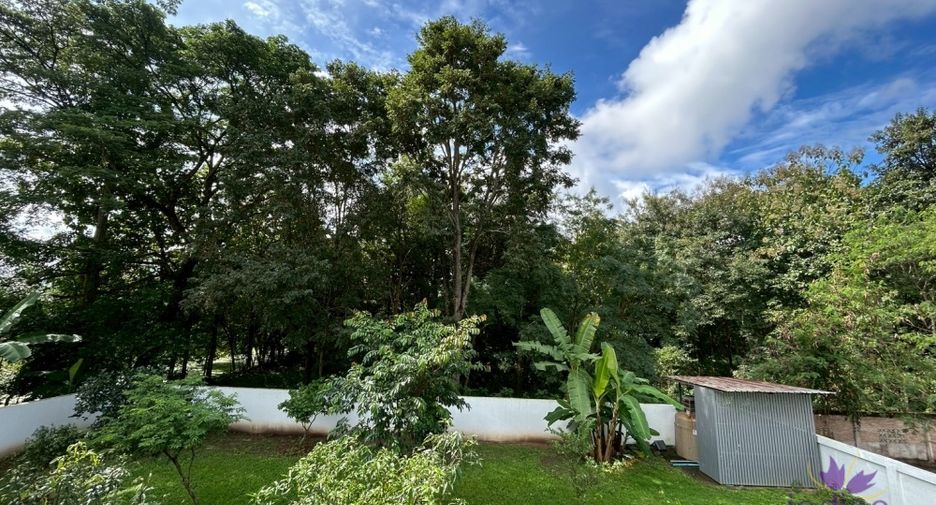 For sale 5 bedrooms house in San Sai, Chiang Mai