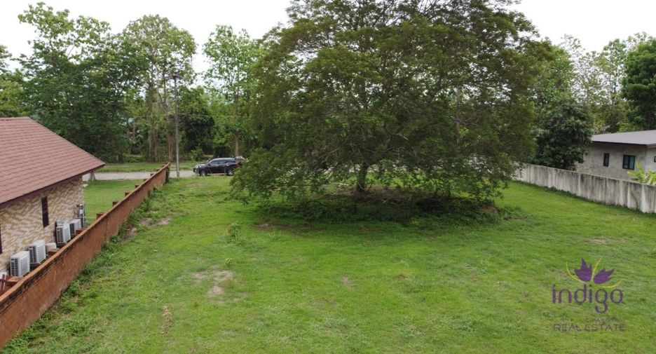 For sale land in Mae Rim, Chiang Mai