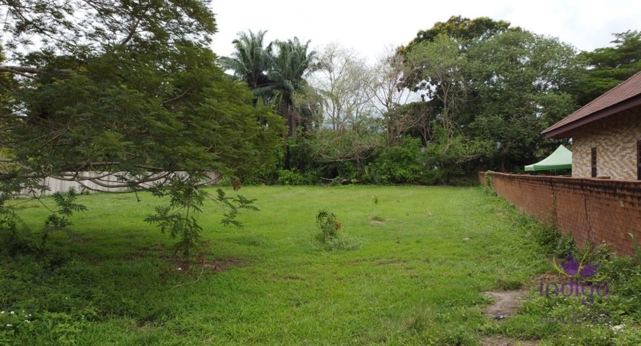 For sale land in Mae Rim, Chiang Mai