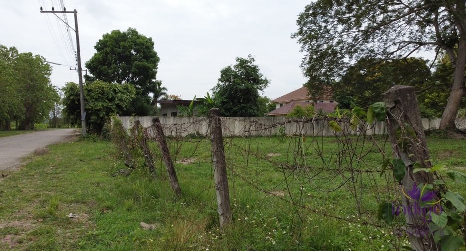 For sale land in Mae Rim, Chiang Mai