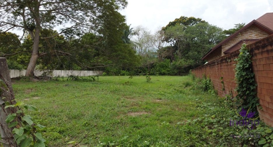 For sale land in Mae Rim, Chiang Mai
