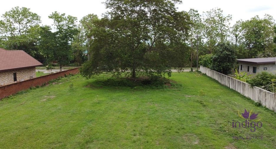 For sale land in Mae Rim, Chiang Mai