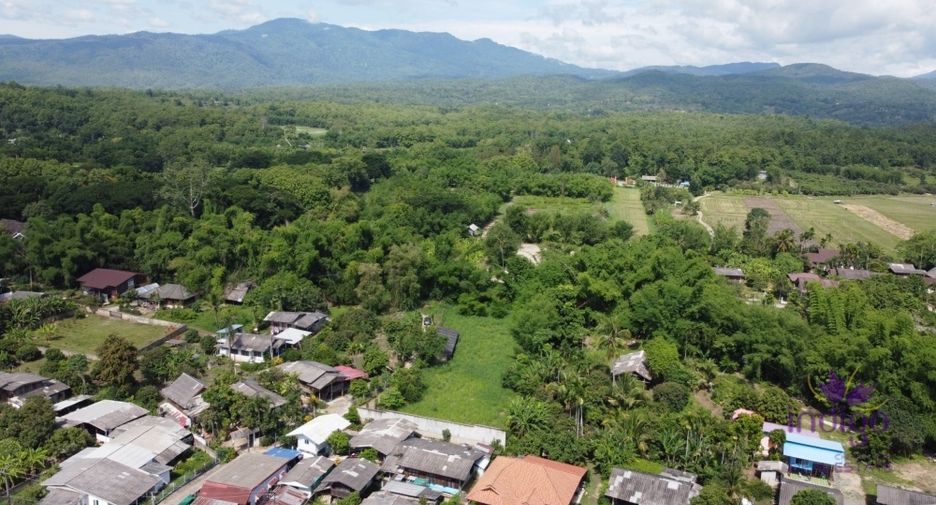 For sale land in Mae Rim, Chiang Mai