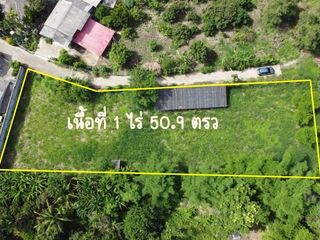 For sale land in Mae Rim, Chiang Mai