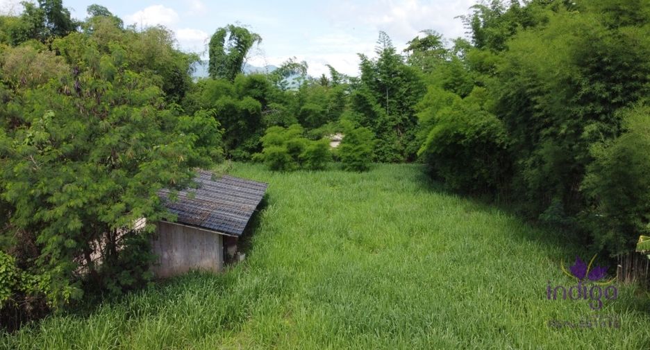 For sale land in Mae Rim, Chiang Mai