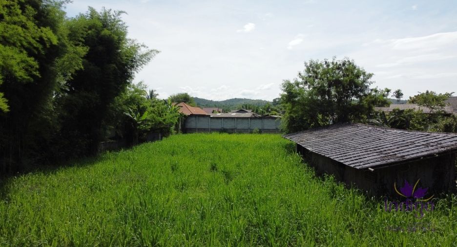 For sale land in Mae Rim, Chiang Mai