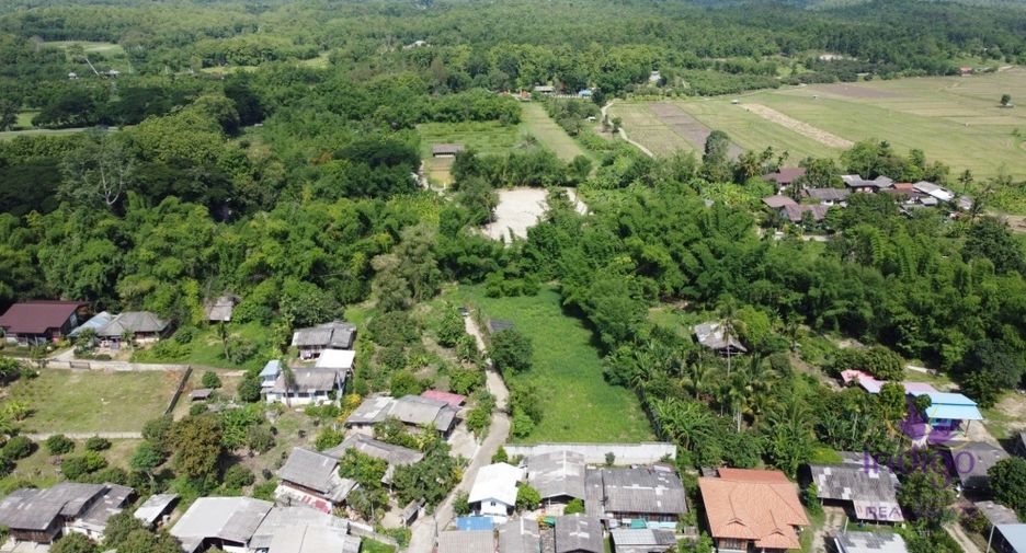 For sale land in Mae Rim, Chiang Mai