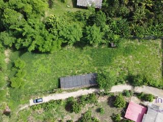 For sale land in Mae Rim, Chiang Mai