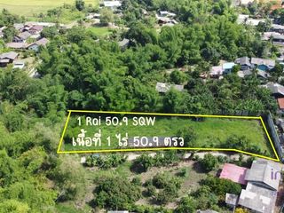 For sale land in Mae Rim, Chiang Mai