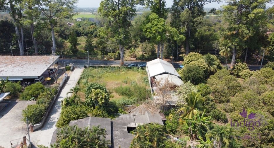 Grundstück zum Kauf in Saraphi, Chiang Mai