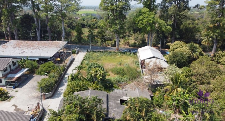 Grundstück zum Kauf in Saraphi, Chiang Mai
