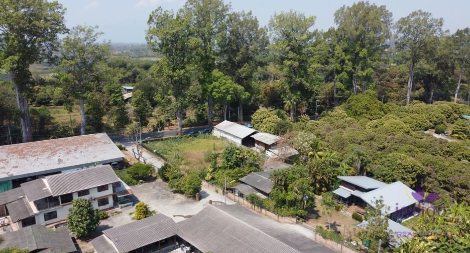 Grundstück zum Kauf in Saraphi, Chiang Mai