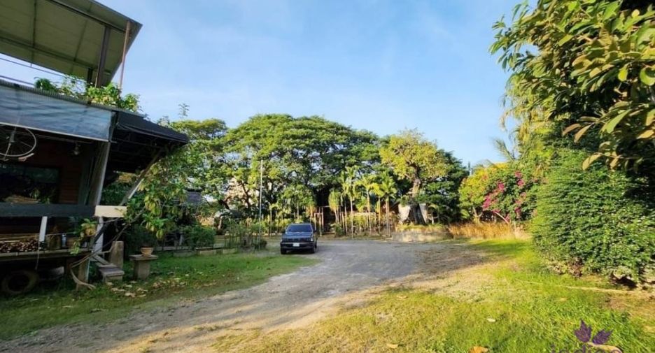For sale land in Mueang Chiang Mai, Chiang Mai