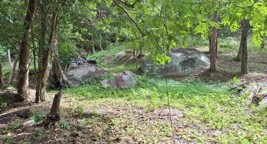 For sale land in Ko Samui, Surat Thani