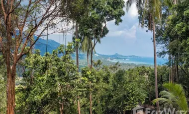 For sale land in Ko Samui, Surat Thani