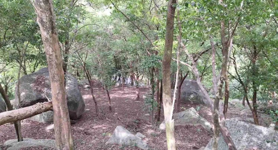 For sale land in Ko Samui, Surat Thani