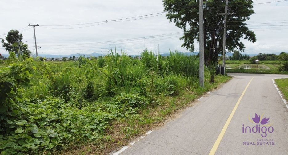 For sale land in San Kamphaeng, Chiang Mai