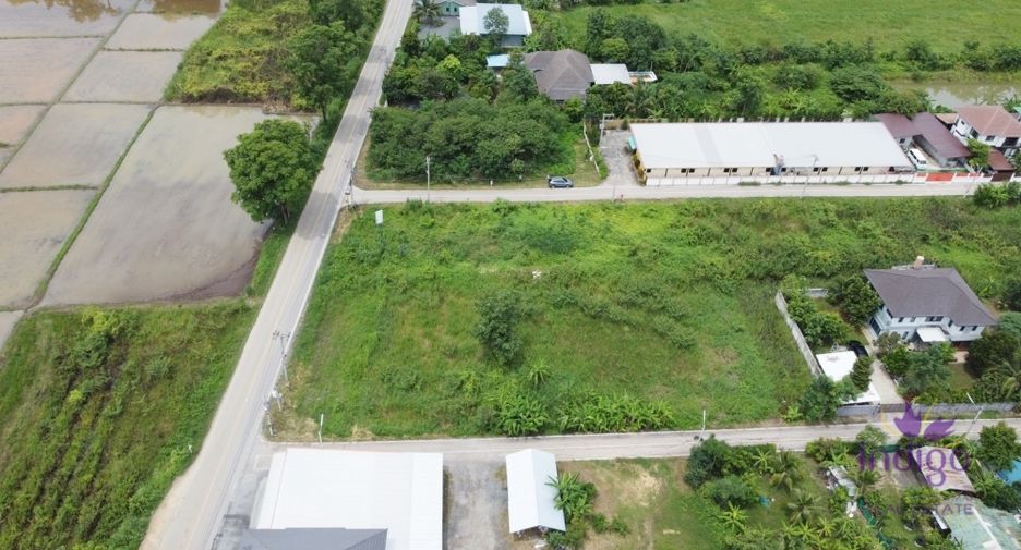For sale land in San Kamphaeng, Chiang Mai