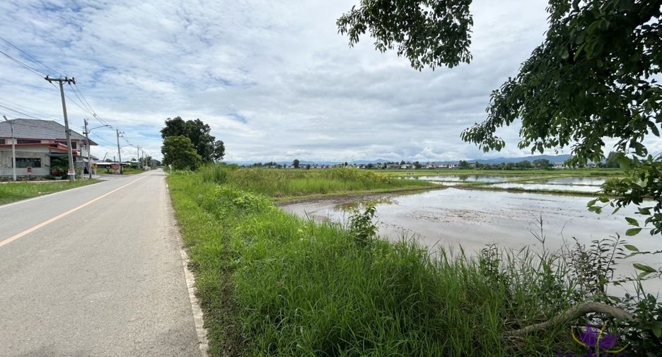 For sale land in San Kamphaeng, Chiang Mai