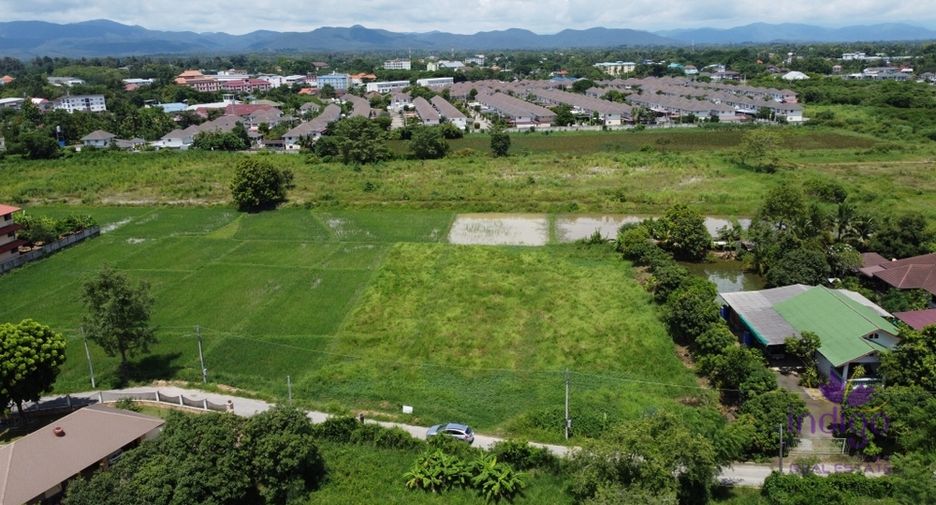 For sale land in San Sai, Chiang Mai