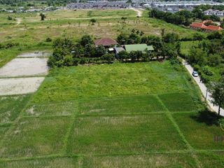For sale land in San Sai, Chiang Mai