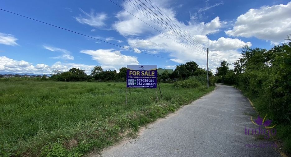 For sale land in San Sai, Chiang Mai