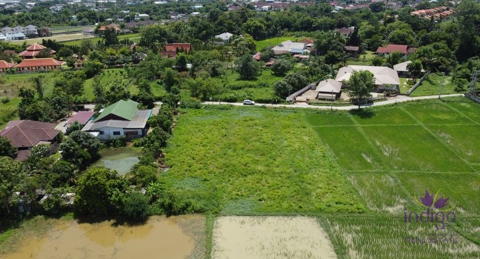 For sale land in San Sai, Chiang Mai