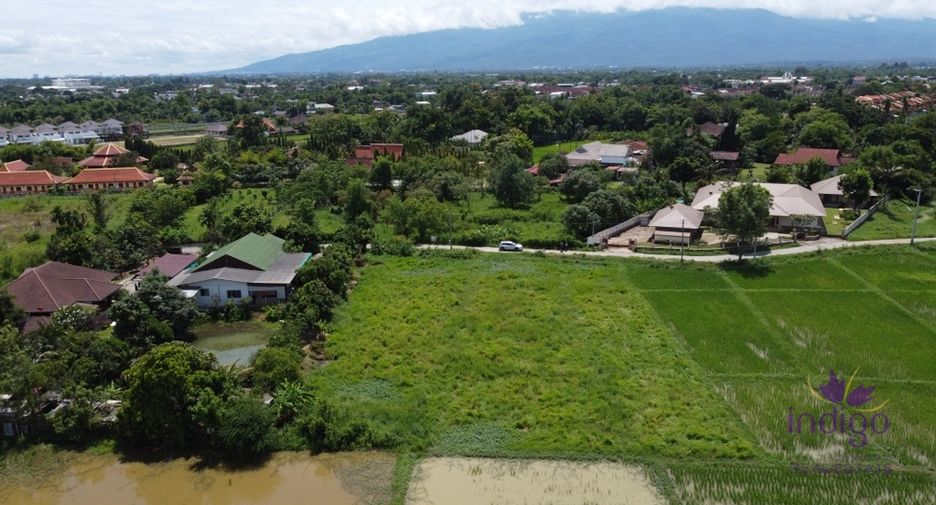 For sale land in San Sai, Chiang Mai