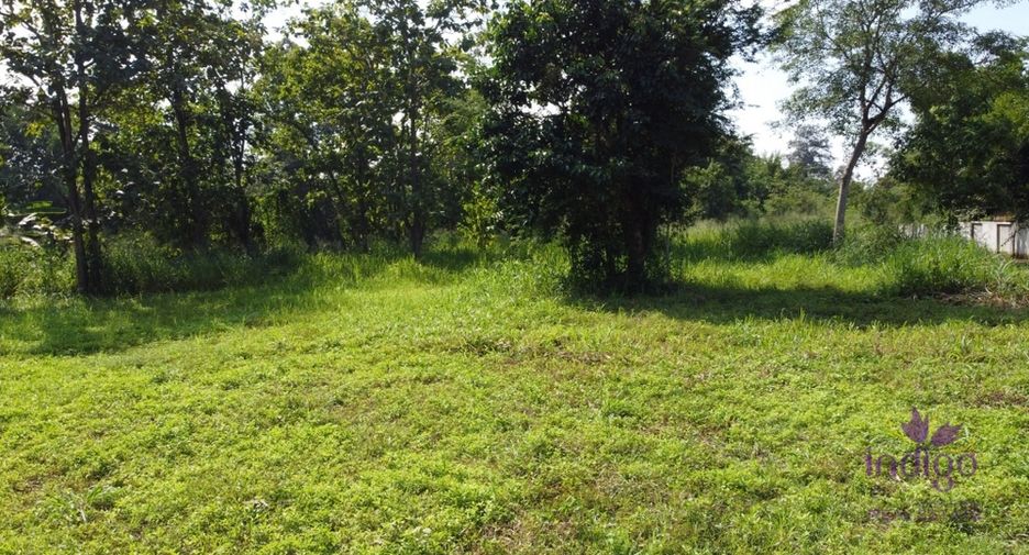 For sale land in San Sai, Chiang Mai