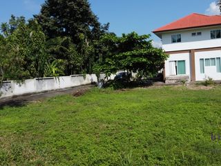 For sale land in San Sai, Chiang Mai