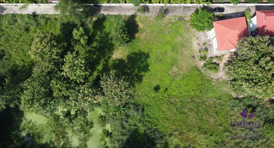For sale land in San Sai, Chiang Mai