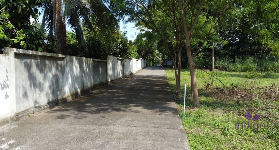 For sale land in San Sai, Chiang Mai