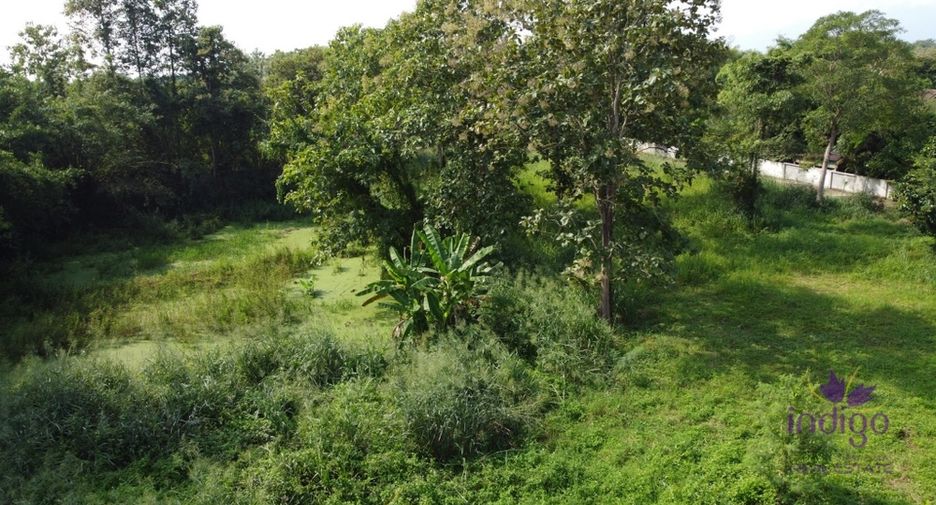 For sale land in San Sai, Chiang Mai