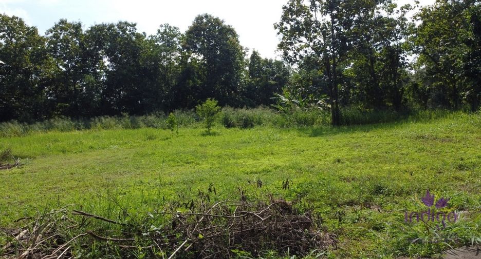 For sale land in San Sai, Chiang Mai