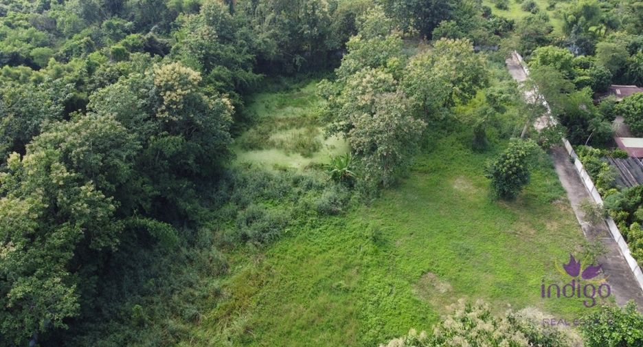 For sale land in San Sai, Chiang Mai